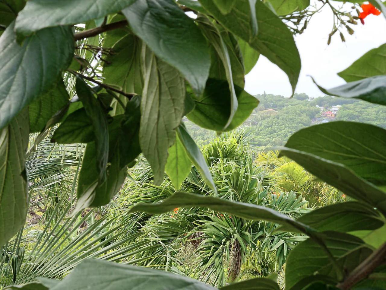 Karureve Villa Deshaies Luaran gambar